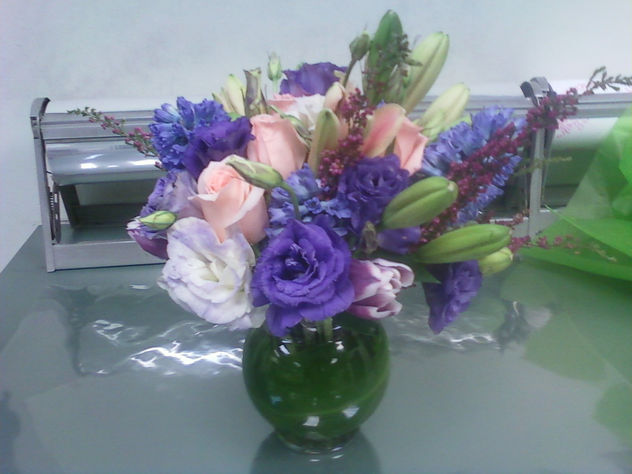 disenos de americo lopez