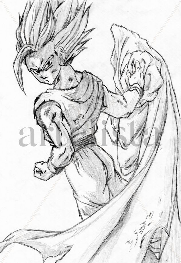gohan1