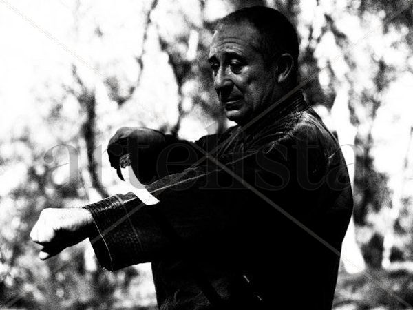 Bujinkan Dojo