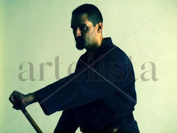 Bujinkan Dojo