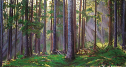 Bosque de luz