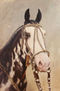 cabeza de caballo