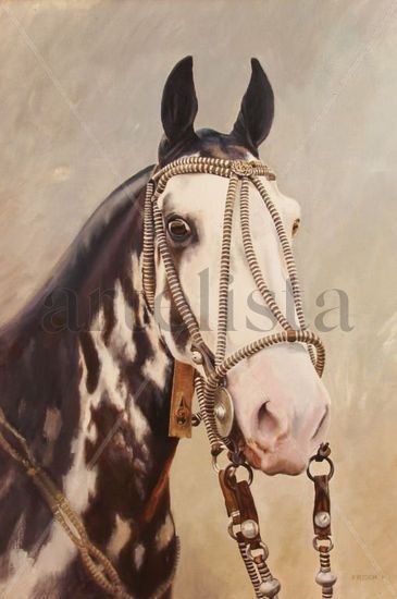 cabeza de caballo Oil Canvas Animals