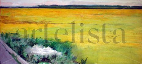 Atardecer arrozales