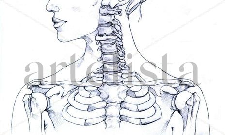 ANATOMIA MORFOLÓGICA