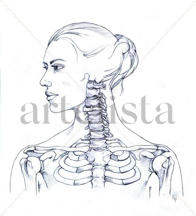Estudio óseo cuello