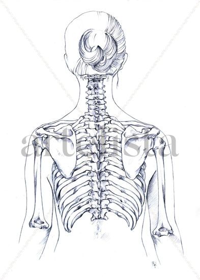 Estudio óseo torax (espalda) Graphite