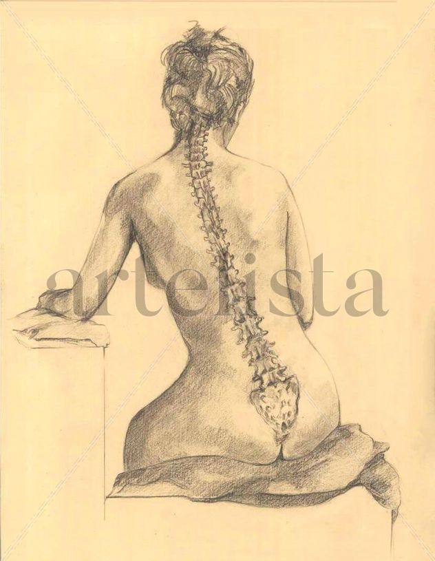 Estudio óseo (columna vertebral)
