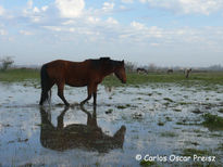 Reflejos 5