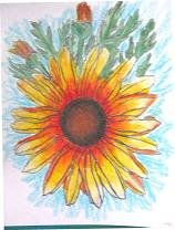 Girasol 1