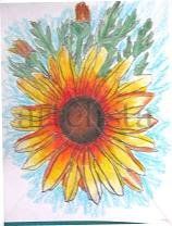 Girasol 1 Pastel Papel Floral