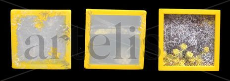 Aromamarillo...