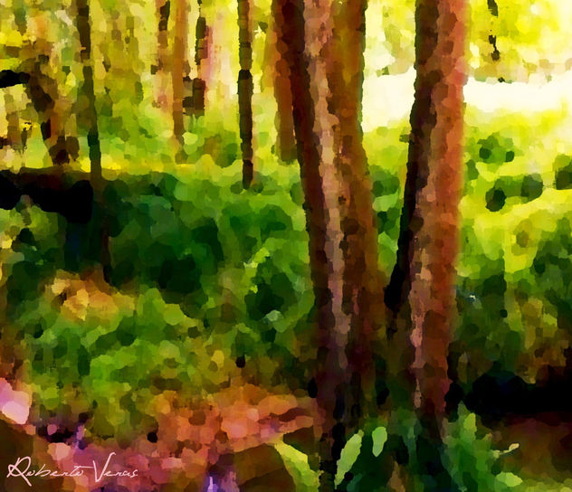 BOSQUE HUMEDO TROPICAL