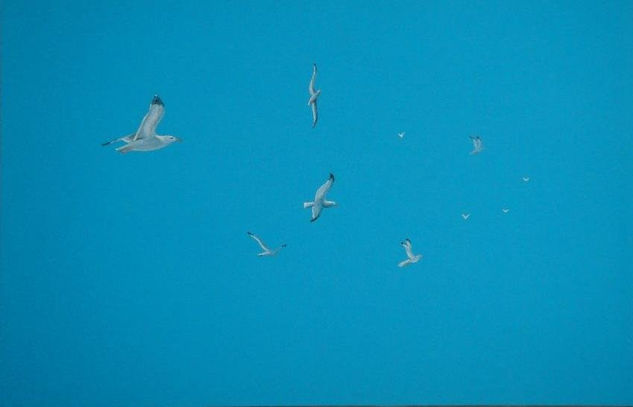 gaviotas en pleno vuelo Others