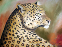 Leopardo