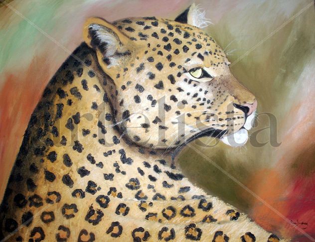 Leopardo