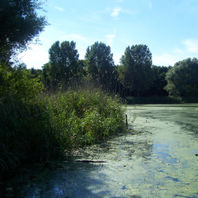 obra