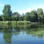 Fotografias thumbnail 2