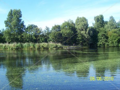 Paisaje Holandes
