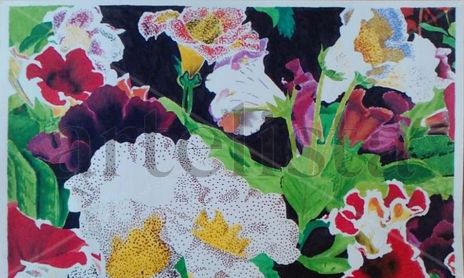 Flores