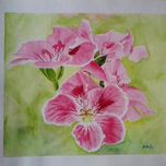 Flores thumbnail 1