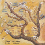 COMPOSICION thumbnail 2