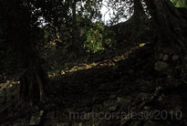 Ruinas Mayas de Copan