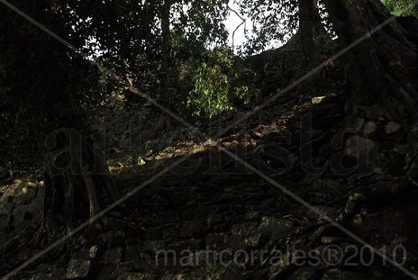 Ruinas Mayas de Copan