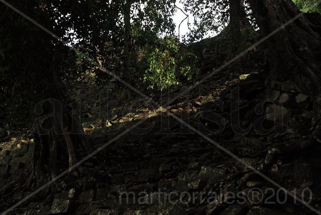 Ruinas Mayas de Copan Viajes Color (Digital)