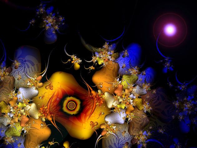 286 grammes of my dreams.