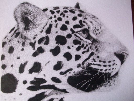 Leopardo Lápiz