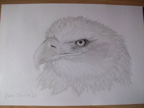 Águila