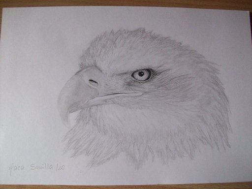 Águila Pencil