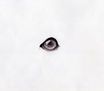 Ojo del amigo (dibujo de práctica)