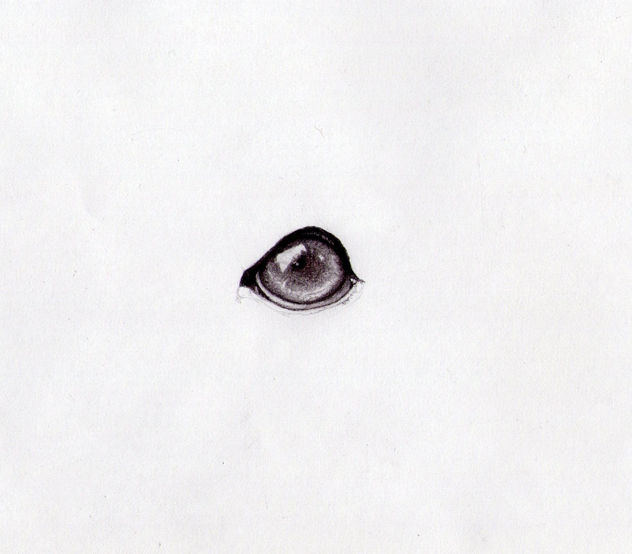 Ojo del amigo (dibujo de práctica)