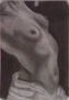 desnudo