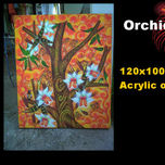 Orchids thumbnail 1