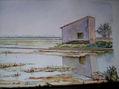 arrozal