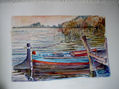albufera