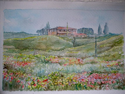 Campo