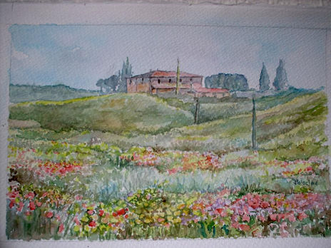 Campo