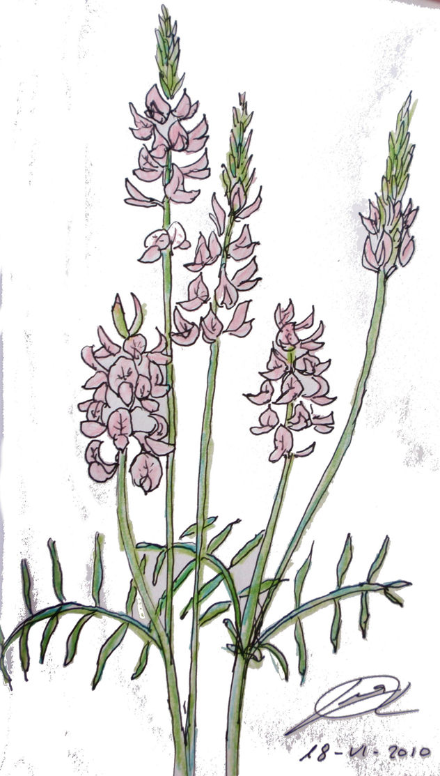 flor 2