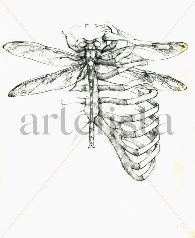 estérnula