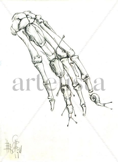 Falanjoles