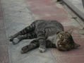 "Chunga" life - Adios al verano - A FINAL RUSH 18