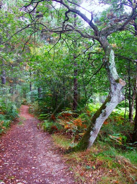Naturaleza