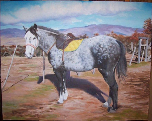 Caballo Patagonia Oil Textile Landscaping