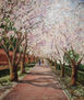 Paseo de los Almendros
