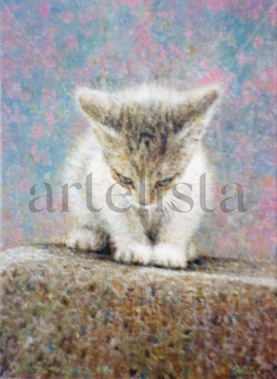 Gatito Oil Canvas Animals