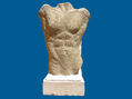 Torso masculino. Estudio